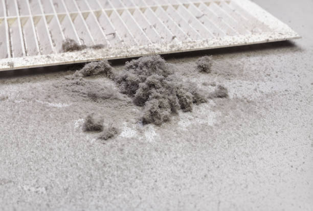 Best Dryer Vent Cleaning Services  in Fair Haven, NJ
