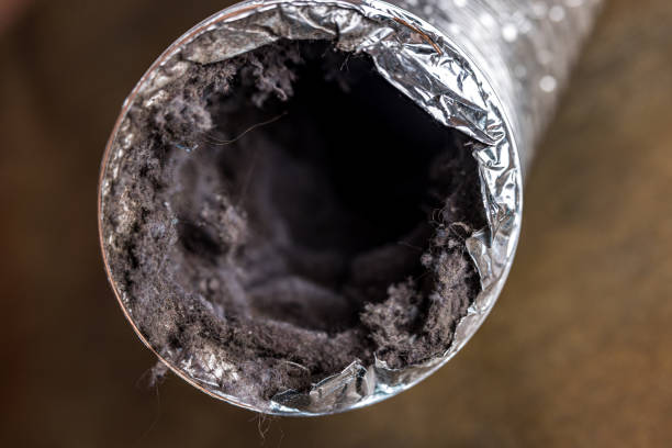 Best Dryer Vent Cleaning Services  in Fair Haven, NJ